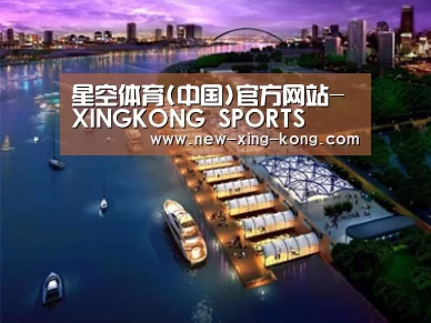 案例展示八