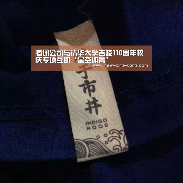 腾讯公司与清华大学告竣110周年校庆专项互助‘星空体育’(图3) 星空体育官方网站