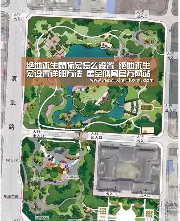 星空体育app