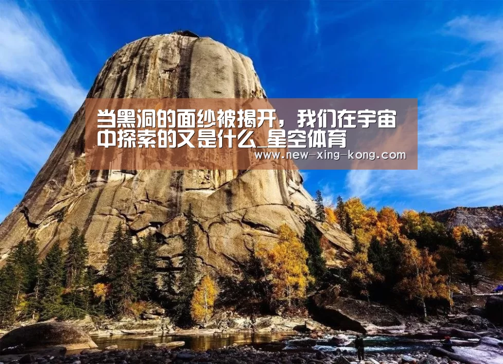 星空体育官方网站